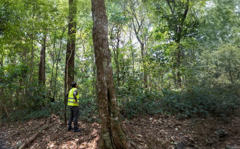 Biodiversity Impact Assessment