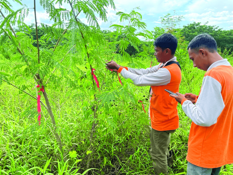 GREENCODE Digital Platform