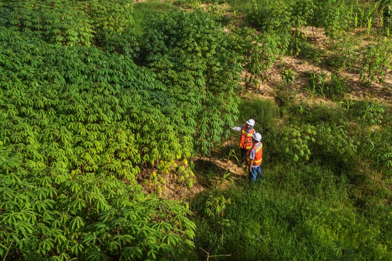 Biodiversity Management Plan in Indonesia